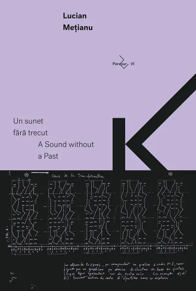 Un sunet fara trecut | Lucian Metianu