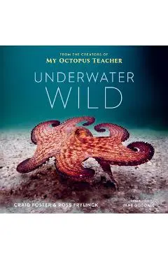 Underwater Wild: My Octopus Teacher's Extraordinary World - Craig Foster