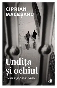 Undita si ochiul. Eseuri si pagini de jurnal/Ciprian Macesaru