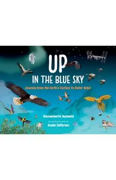 Up in the Blue Sky: Journey from the Earth's Surface to Outer Space - Gianumberto Accinelli