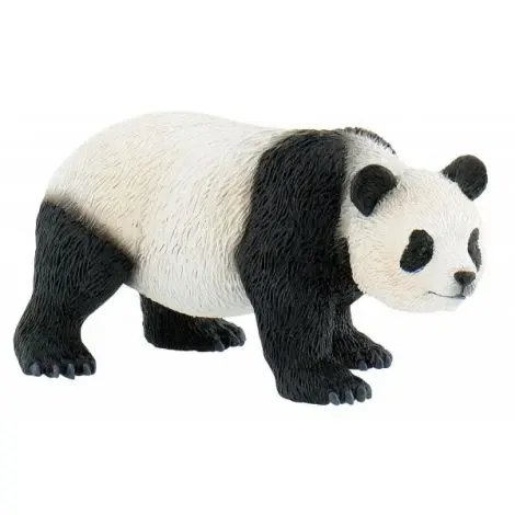 Urs panda