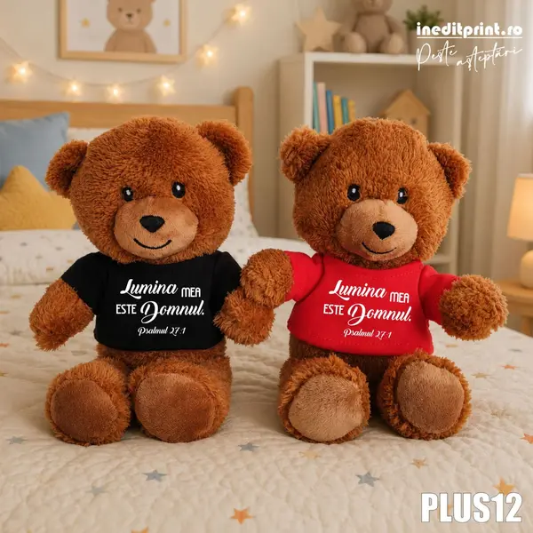 Ursulet Teddy Negru Personalizat PLUS12 Rosu