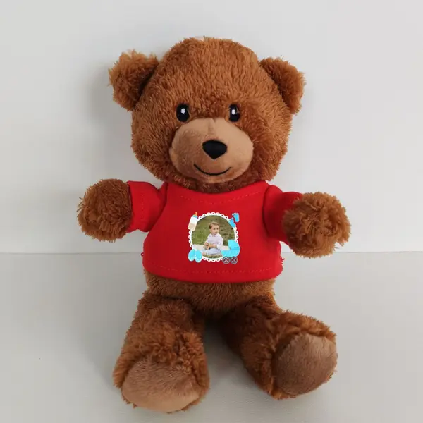 Ursulet Teddy Personalizat PLUS2 Rosu