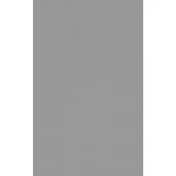 Ușă 45/66/1,6 cm