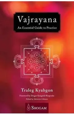 Vajrayana: An Essential Guide to Practice - Traleg Kyabgon