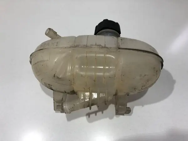 Vas expansiune 217101893ra Renault Trafic 3 1.6 cdti