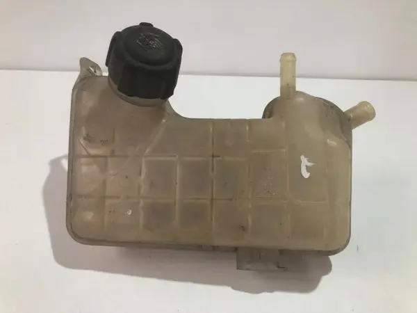 Vas expansiune 8200262036 Renault Scenic 2 (2003-2009) 1.9 dci