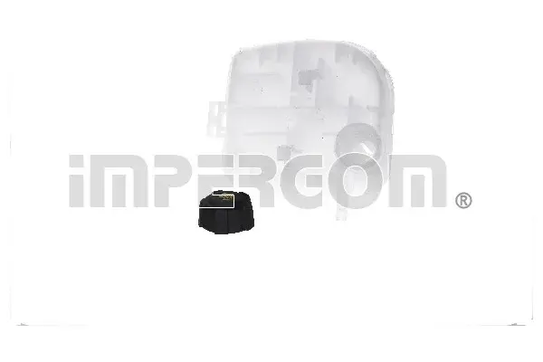 Vas expansiune racire (cu priza) potrivit RENAULT ESPACE IV, TWINGO II, WIND 11.02-
