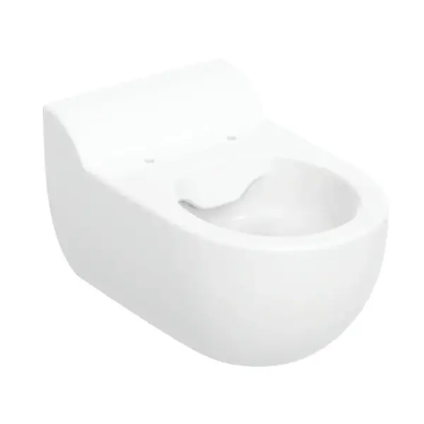 Vas WC suspendat pentru copii, 53 cm x 33 cm x 34,5 cm, rimfree, alb, Geberit Bambini