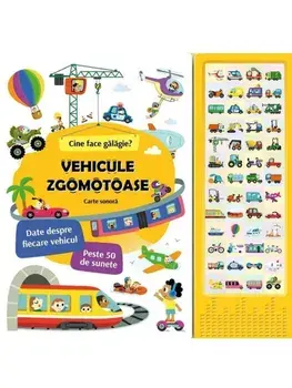 Vehicule zgomotoase. Carte sonora. Cine face galagie?/***