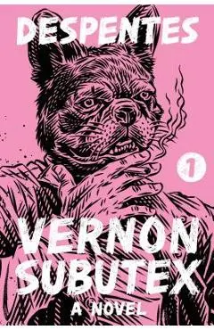 Vernon Subutex 1 - Virginie Despentes