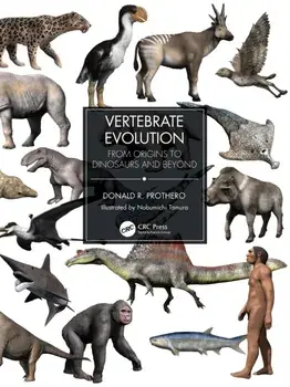 Vertebrate Evolution. From Origins to Dinosaurs and Beyond, Paperback/Donald R. Prothero