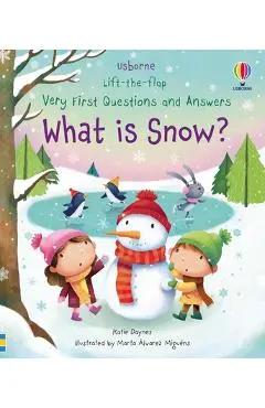Very First Questions and Answers What Is Snow? - Katie Daynes