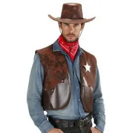 Vesta cowboy
