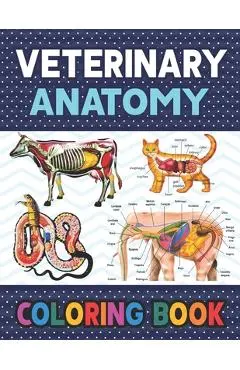 Veterinary Anatomy Coloring Book: Fun and Easy Veterinary Anatomy Coloring Book for Kids.Animal Anatomy and Veterinary Coloring Book.Dog Cat Horse Fro - Darkeylone Publication