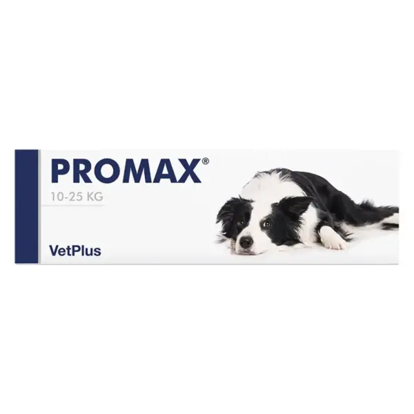 VETPLUS Promax Medium Breed, supliment sistem digestiv & probiotice câini, pastă orală VETPLUS Promax Medium Breed, M, supliment sistem digestiv & probiotice câini, seringă gradată, 18ml pastă orală