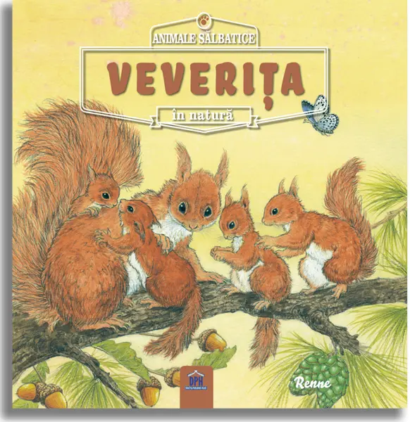 Veverita | Renne