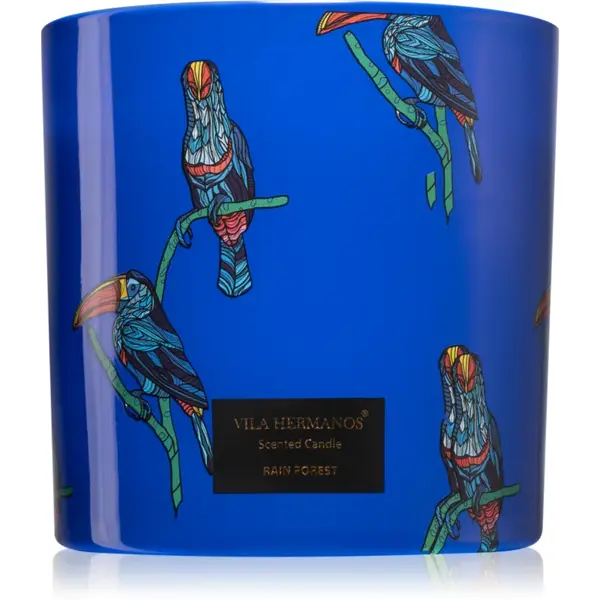 Vila Hermanos Jungletopia Rain Forest lumânare parfumată 620 g