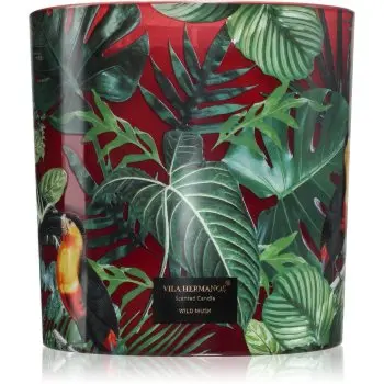 Vila Hermanos Jungletopia Wild Musk lumânare parfumată