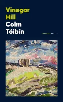Vinegar Hill, Paperback/Colm Toibin
