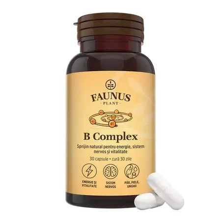 Vitamina B Complex, 30 capsule, Faunus