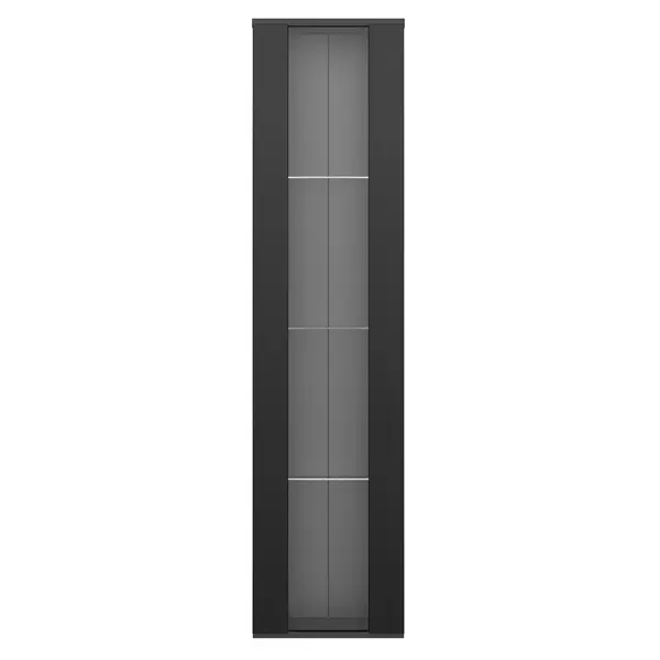 Vitrină multifuncțională cu perete despărțitor din sticlă, lumină LED cu schimbare de culoare, 40x29x170 cm, Negru