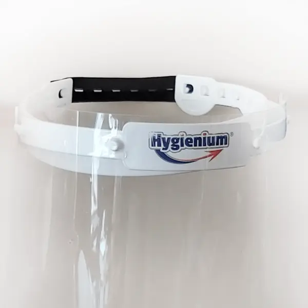 Viziera transparenta Hygenium Viziera transparenta Hygenium
