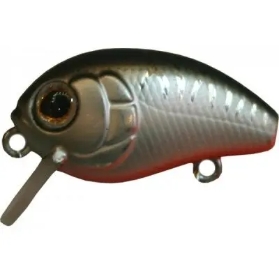 Vobler Baby Pro 2.5cm 2G CA06E