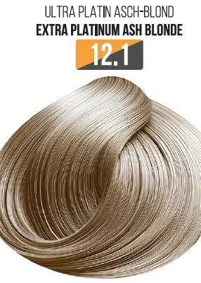 Vopsea Profesionala Fara Amoniac EVOQUE USA, Nuanta 12.1 VERY PLATINUM ASH BLONDE - Cu Ulei de Argan si 12 Aminoacizi, 100 ml - Evoque