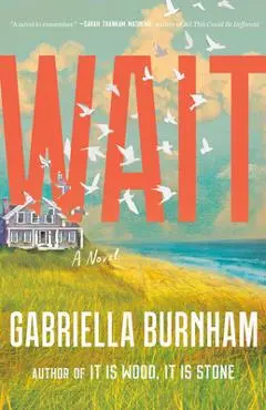 Wait - Gabriella Burnham