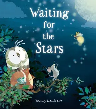 Waiting for the Stars, Hardback/Jonny Lambert
