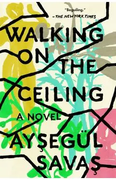 Walking on the Ceiling - Ayseg�l Savas