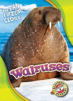 Walruses, Hardback/Kari Schuetz