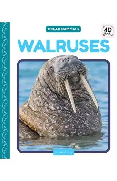 Walruses - Julie Murray