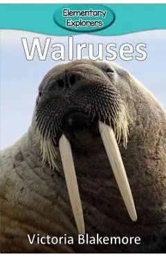 Walruses - Victoria Blakemore