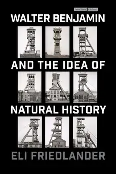 Walter Benjamin and the Idea of Natural History, Paperback/Eli Friedlander