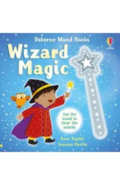 Wand Books: Wizard Magic - Sam Taplin