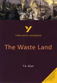 Waste Land: York Notes Advanced, Paperback/Alisdair Macrae