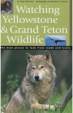 Watching Yellowstone & Grand Teton Wildlife - Todd Wilkinson
