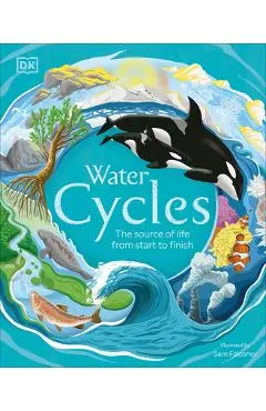 Water Cycles - Dk