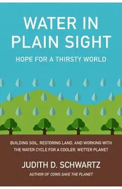 Water in Plain Sight: Hope for a Thirsty World - Judith D. Schwartz