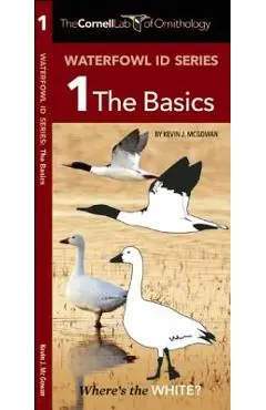 Waterfowl Id Series: 1 the Basics - Kevin J. Mcgowan