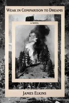 Weak in Comparison to Dreams, Hardback/James Elkins