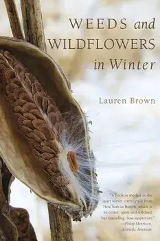 Weeds and Wildflowers in Winter, Paperback/Lauren Brown