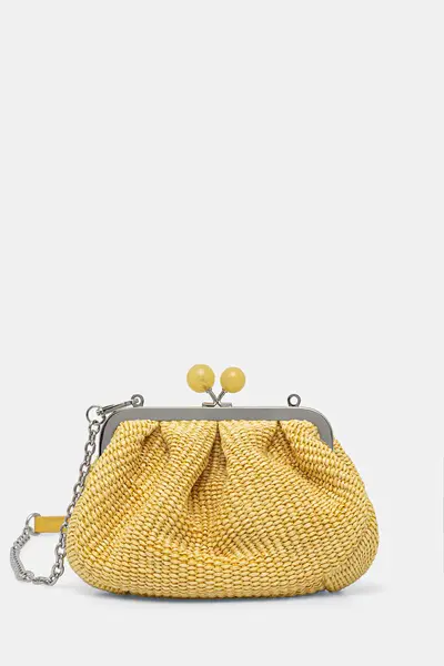 Weekend Max Mara geantă crossbody pentru femei APALMAS