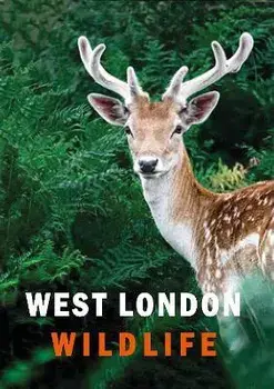 West London Wildlife, Hardback/Susanne Masters