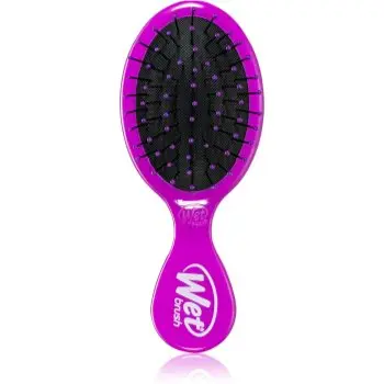 Wet Brush Mini perie de par calatorii