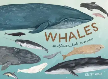 Whales: An Illustrated Celebration, Hardcover/Kelsey Oseid