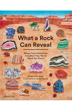 What a Rock Can Reveal: Where They Come from and What They Tell Us about Our Planet - Maya Wei-haas
