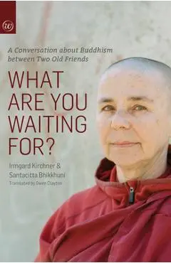What Are You Waiting For?: A Conversation about Buddhism Between Two Old Friends - Irmgard Kirchner